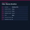 CIBER MACIZO BRASILIAN NORMAL NUEVA