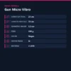 GUN MICRO VIBRO NEGRO