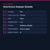 AMERICANO GRANDE SOPAPA