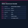 AMERICANO GRANDE SOPAPA