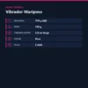 VIBRADOR MARIPOSA MULTIFUNCION