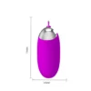 VIBRADOR INALAMBRICO CONTROL REMOTO BERGER