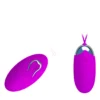 VIBRADOR INALAMBRICO CONTROL REMOTO BERGER