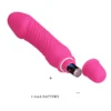 VIBRADOR