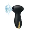 SUCCIONADOR GOLD  ROYAL PLEASURE SUCCIONADOR DE CLITORIS 7 FUNCIONES SILICONA USB RECARGABLE 13CM X 4CM