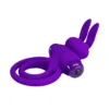 ANILLO VIBRADOR