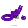 ANILLO VIBRADOR