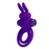 ANILLO VIBRADOR