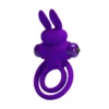 ANILLO VIBRADOR