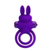 ANILLO VIBRADOR