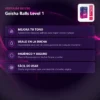BOLAS KEGEL GEISHA BALLS LEVEL 1