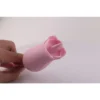 LENGUA ESTIMULADORA DORA