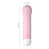 VIBRATOR CAIRO