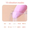 EGG VIBRATOR FLAWOREL