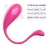 VIBRATOR - APP MELIXA
