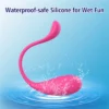 VIBRATOR - APP MELIXA