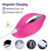 FLOW WEARABLE PANTY VIBRATOR - APP