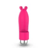 VIBRATOR BUNISSON