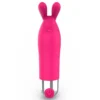 VIBRATOR BUNISSON