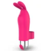 VIBRATOR BUNISSON