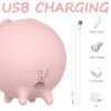PIGGY SUCCIONADOR VIBRADOR MULTIFUNCIONAL RECARGABLE USB