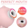 PIGGY SUCCIONADOR VIBRADOR MULTIFUNCIONAL RECARGABLE USB
